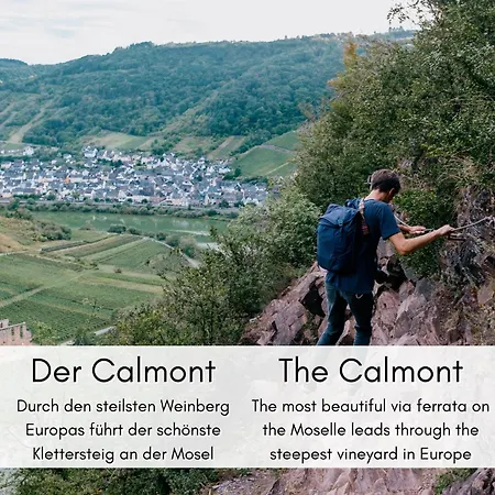 Charme & Moselblick Im Alten Winzerhaus Am Calmont Daire