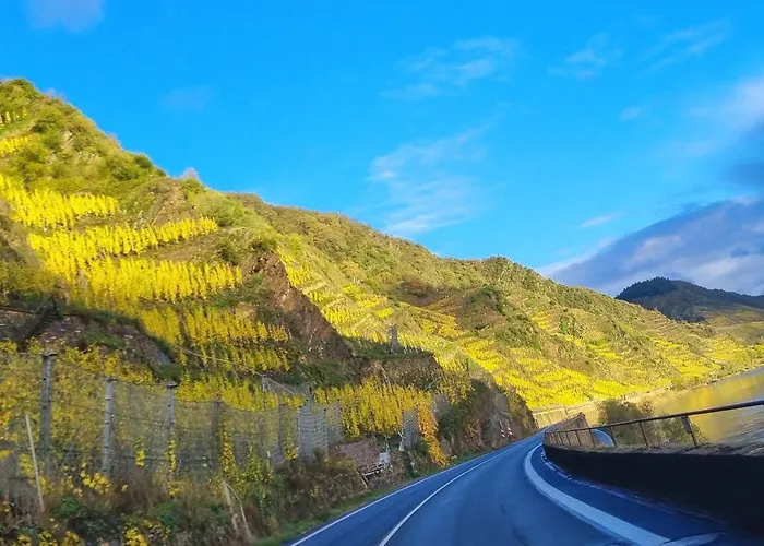 Winzerhaus Am Calmont - Charme & Moselblick Bremm